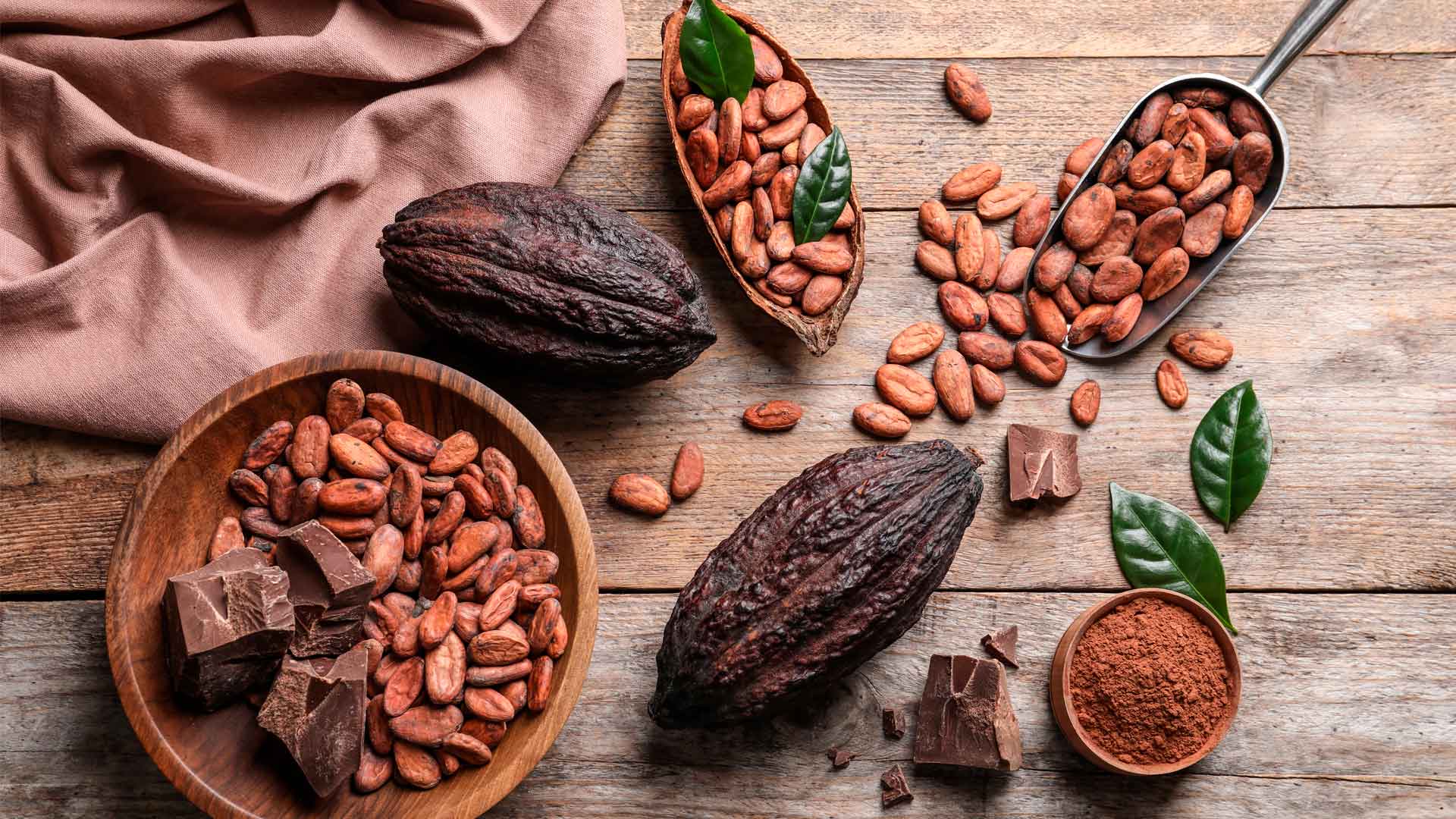 Festival del Chocolate Tabasco 2022: Endúlzate la vida con esta fiesta de cacao