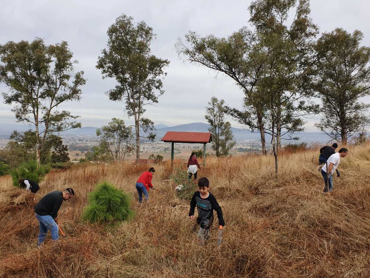 Por Festival de la Resistencia que organiza la FEU, plantan 180 árboles en el Cerro de la Reina en Tonalá