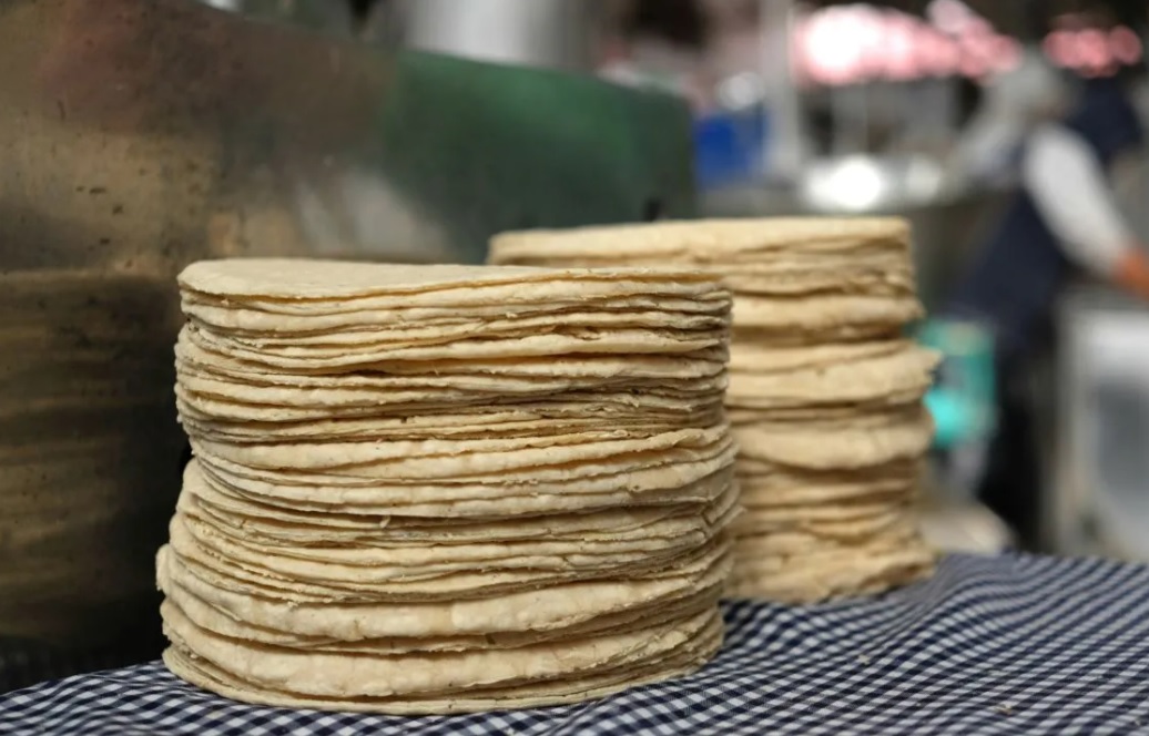 Consumo de tortillas “pirata” pone en riesgo la salud de la población