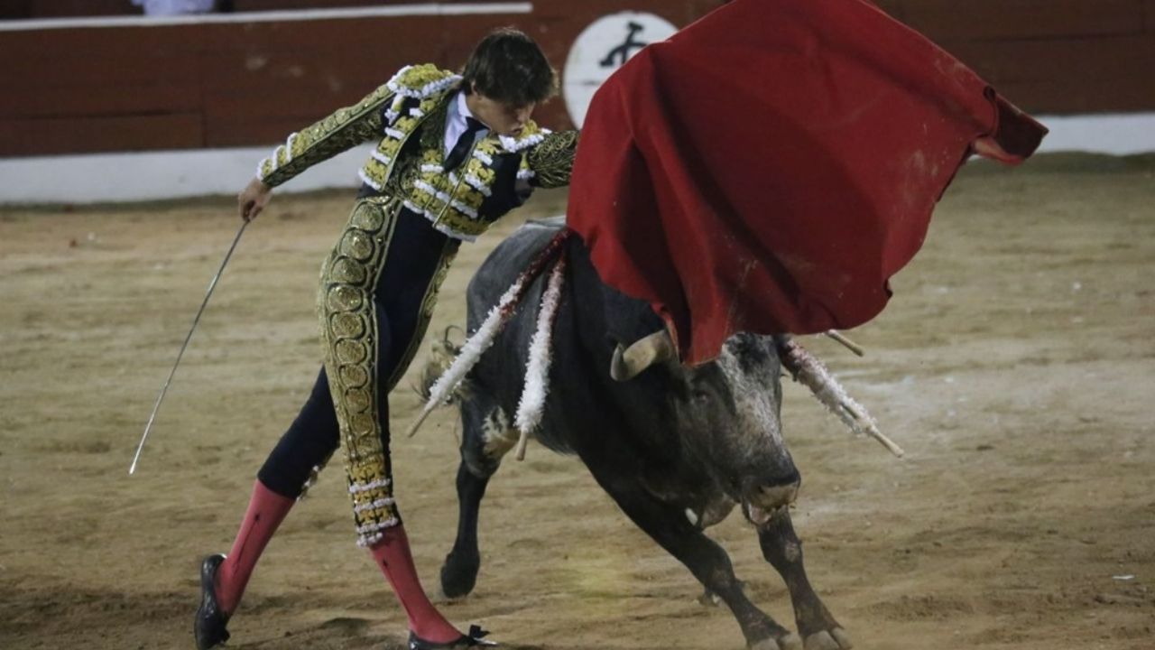 Dan ultimátum para suspensión de corridas de toros en Zacatecas