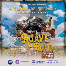 Prepara Purísima del Rincón el 1er. Festival del Agave y sus Raíces